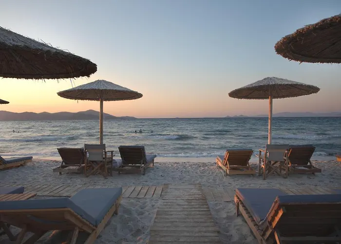 Philippos & Alexandros Apartments
